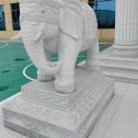乌海 白麻花岗岩动物异形石雕-大象