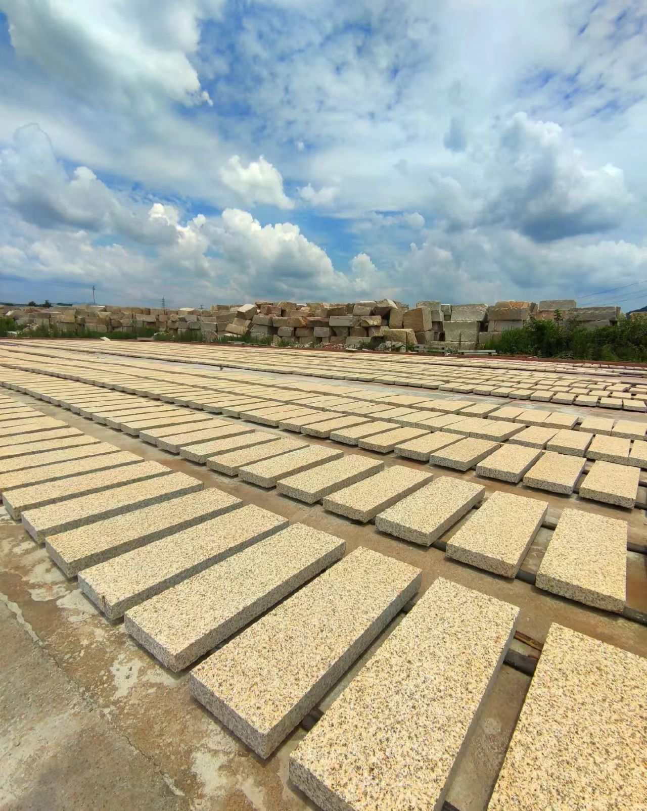 乌海 黄金麻花岗岩荔枝面地铺石防护中